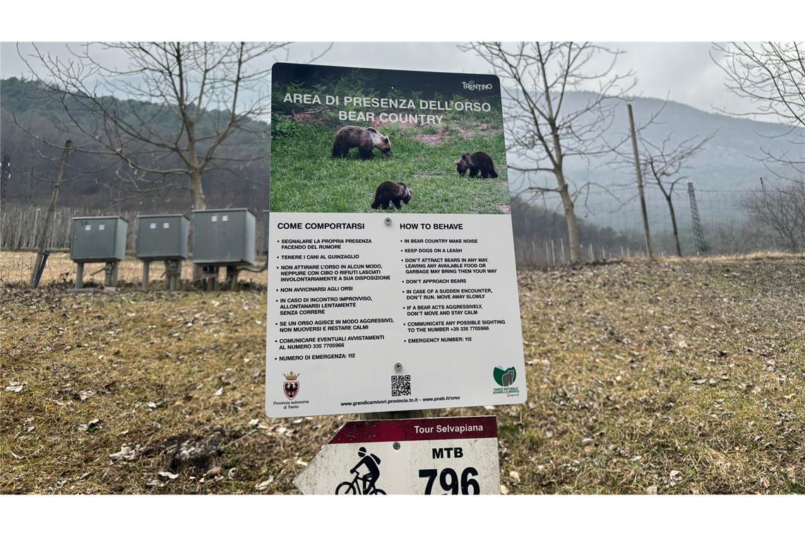 Bären im Trentino: Erst geholt, dann geschossen Schilder warnen im Trentino vor Bären. (Archivfoto)