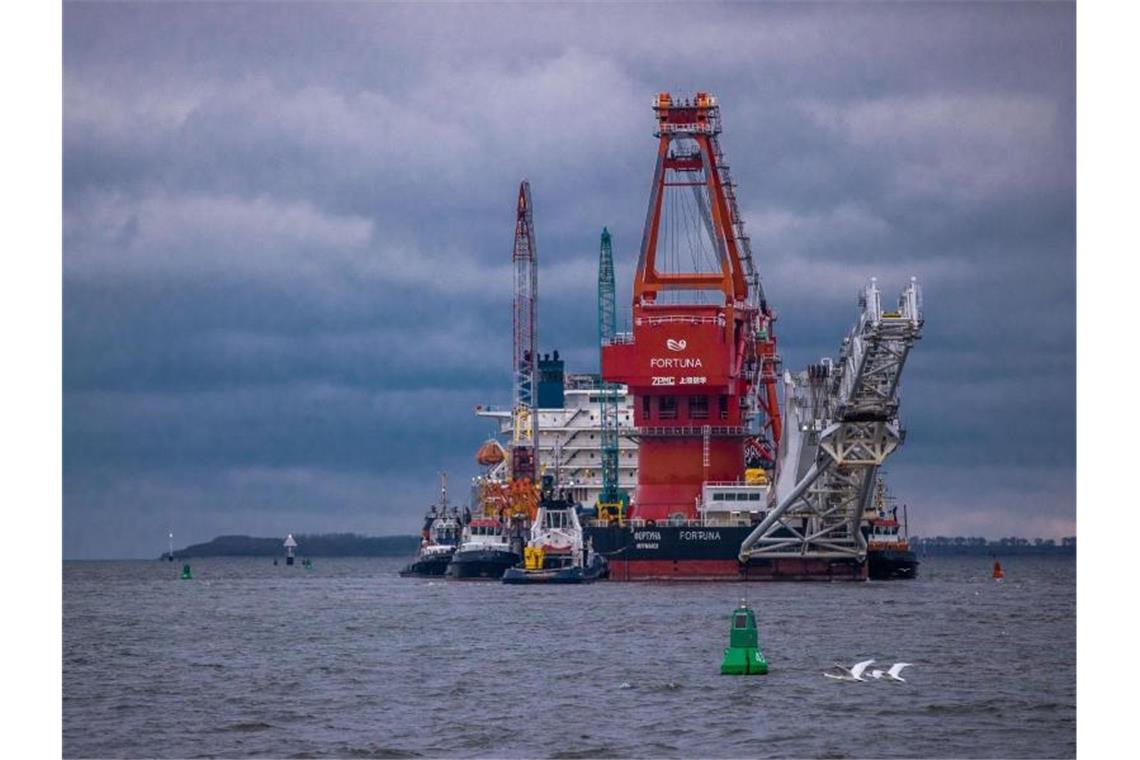 Steinmeier verärgert Ukraine mit Äußerungen zu Nord Stream 2