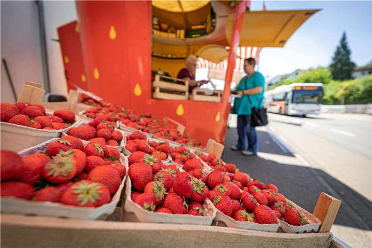 Schmackhafte Erdbeeren sowie Kirschen, Spargel und Co. bietet die Familie Schaaf auch an ihrem Stand in der Sulzbacher Straße in Backnang an. Foto: Alexander Becher