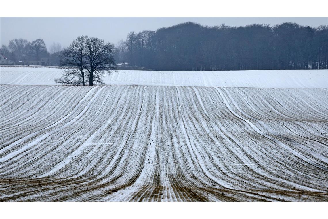 Schnee bis in die Niederungen ist am Samstag für die Mitte und den Süden vorhergesagt.