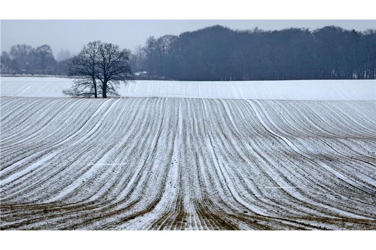 Schnee bis in die Niederungen ist am Samstag für die Mitte und den Süden vorhergesagt.