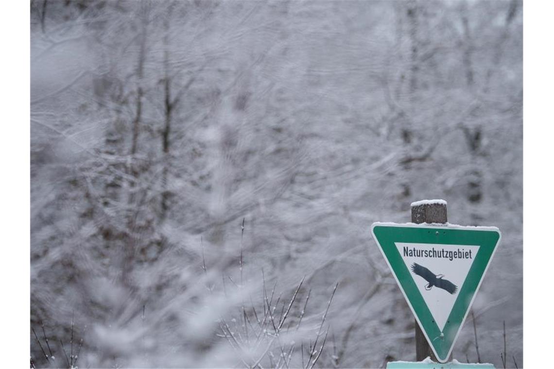 Comeback der Kälte: Regen und Schnee im Südwesten Schnee im Naturschutzgebiet. Foto: Sebastian Gollnow/dpa