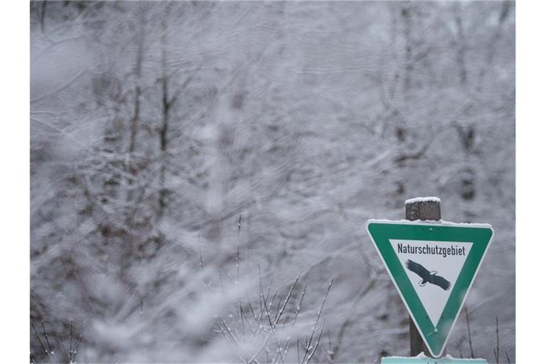 Schnee im Naturschutzgebiet. Foto: Sebastian Gollnow/dpa