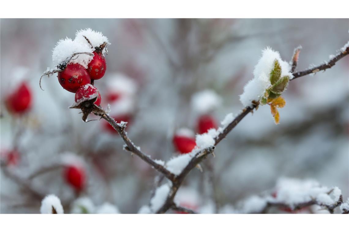 Warnung vor Schnee, Glätte und Frost in Baden-Württemberg