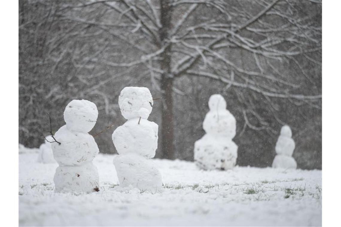 Schneefiguren stehen auf einem Wiesenstück. Foto: Marijan Murat/dpa