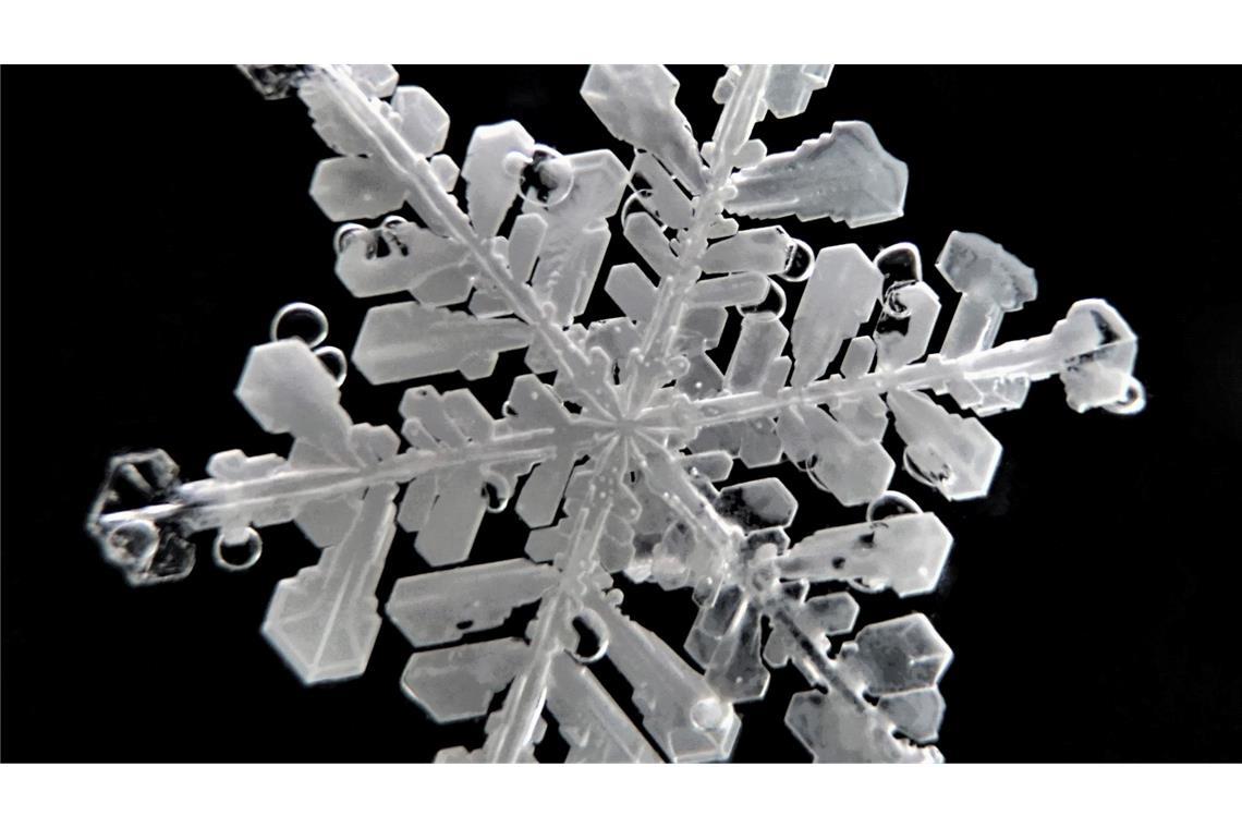 Paar verewigt Schneeflocken aus Antarktis und Arktis Schneeflocken haben sehr feine Strukturen.