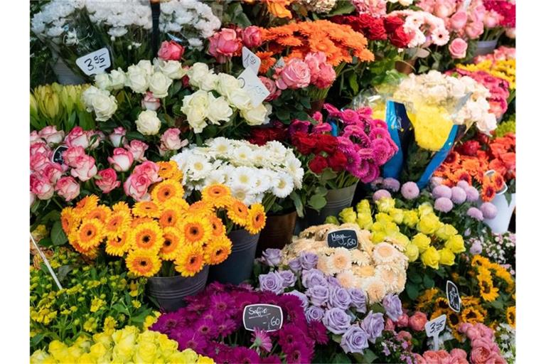 Schnittblumen in einem Blumenladen. Der Blumenstrauß zum Valentinstag wird in diesem Jahr deutlich teurer. Foto: Ole Spata/dpa