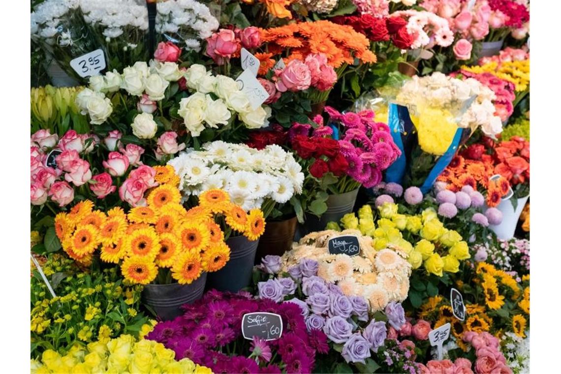 Justizminister für Öffnung von Blumenläden und Gartencentern Schnittblumen in einem Blumenladen. Foto: Ole Spata/dpa/Symbolbild