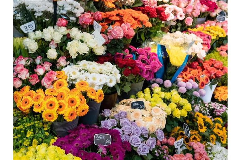 Schnittblumen in einem Blumenladen. Foto: Ole Spata/dpa/Symbolbild