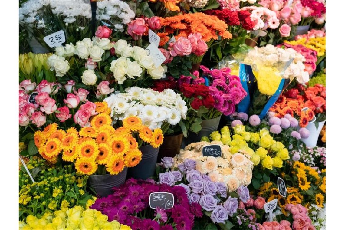 Schnittblumen in einem Blumenladen. Foto: Ole Spata/dpa/Archivbild