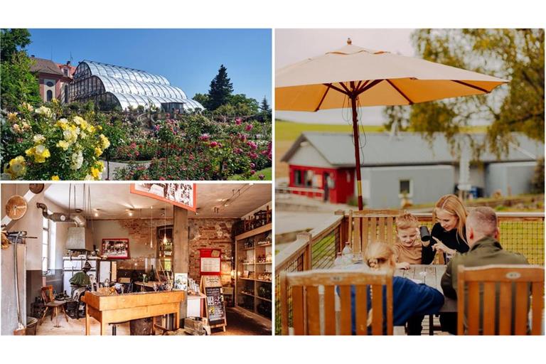 Schöne Ausflugsziele: blühende Pracht auf der Blumeninsel Mainau (o.li.), Familienzeit beim Camping (re.) und die letzte erhaltene Glashütte im Schwarzwald (u.li.)