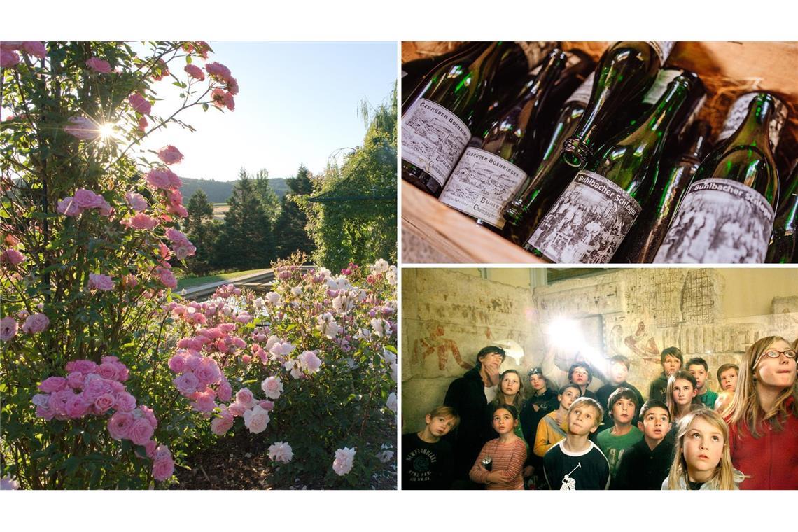 An diesen 8 Orten genießen wir die Ferien Schöne Ausflugsziele: blühende Pracht auf der Blumeninsel Mainau (o.li.), Familienzeit beim Camping (re.) und die letzte erhaltene Glashütte im Schwarzwald (u.li.)