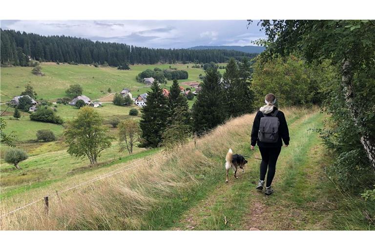 Schöne Aussichten bei der Wanderung auf dem Hochschwarzwälder Hirtenpfad.