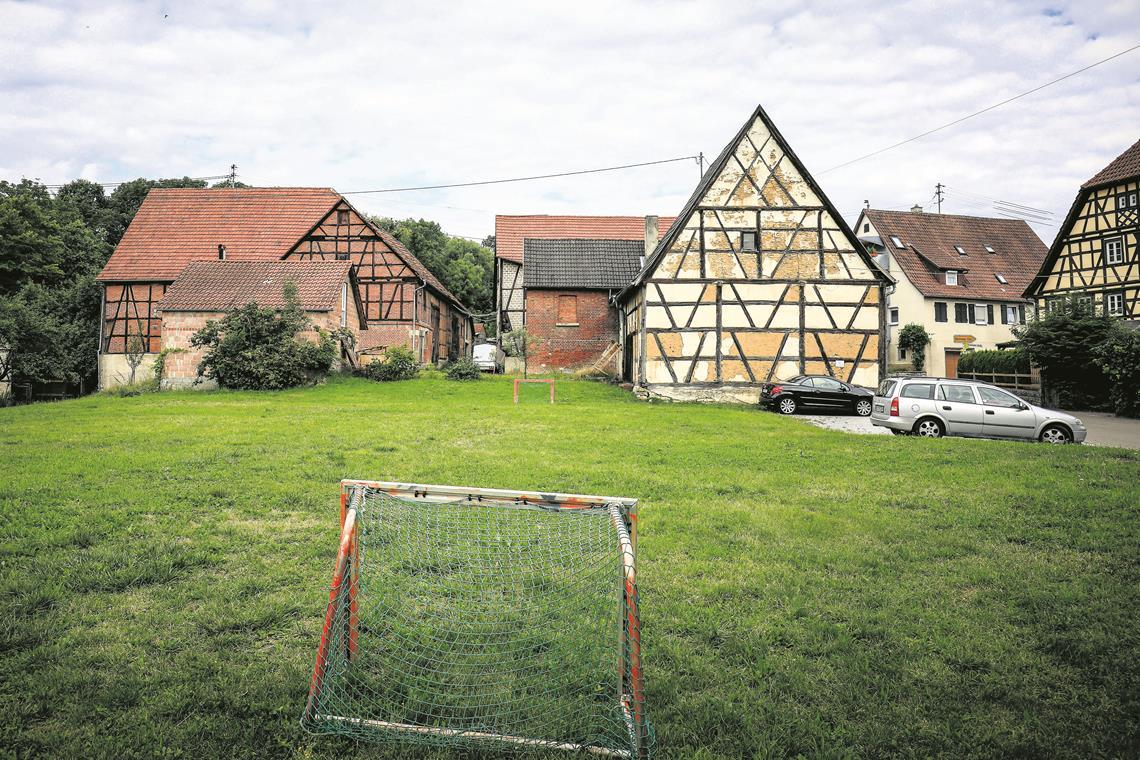 Schöntal im Blickpunkt. Archivfoto: Alexander Becher 