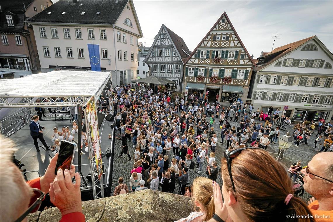 Schon die Eröffnung des 35. Backnanger Gänsemarktes mit verkausoffenem Sonntag u...