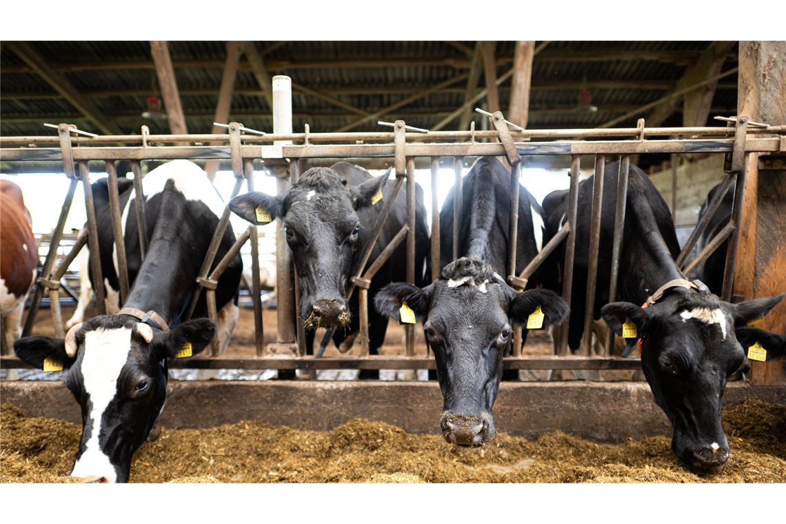 Schon im vergangenen Jahr waren nach Bauernprotesten in der EU Erleichterungen für Landwirte beschlossen worden. (Archivfoto)