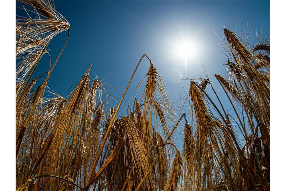 Deutschland schwitzt und schwitzt - Juni-Rekord gebrochen Schon in den Mittagsstunden sind die Temperaturen erneut auf rekordverdächtige Höhen gestiegen. Foto: Swen Pförtner