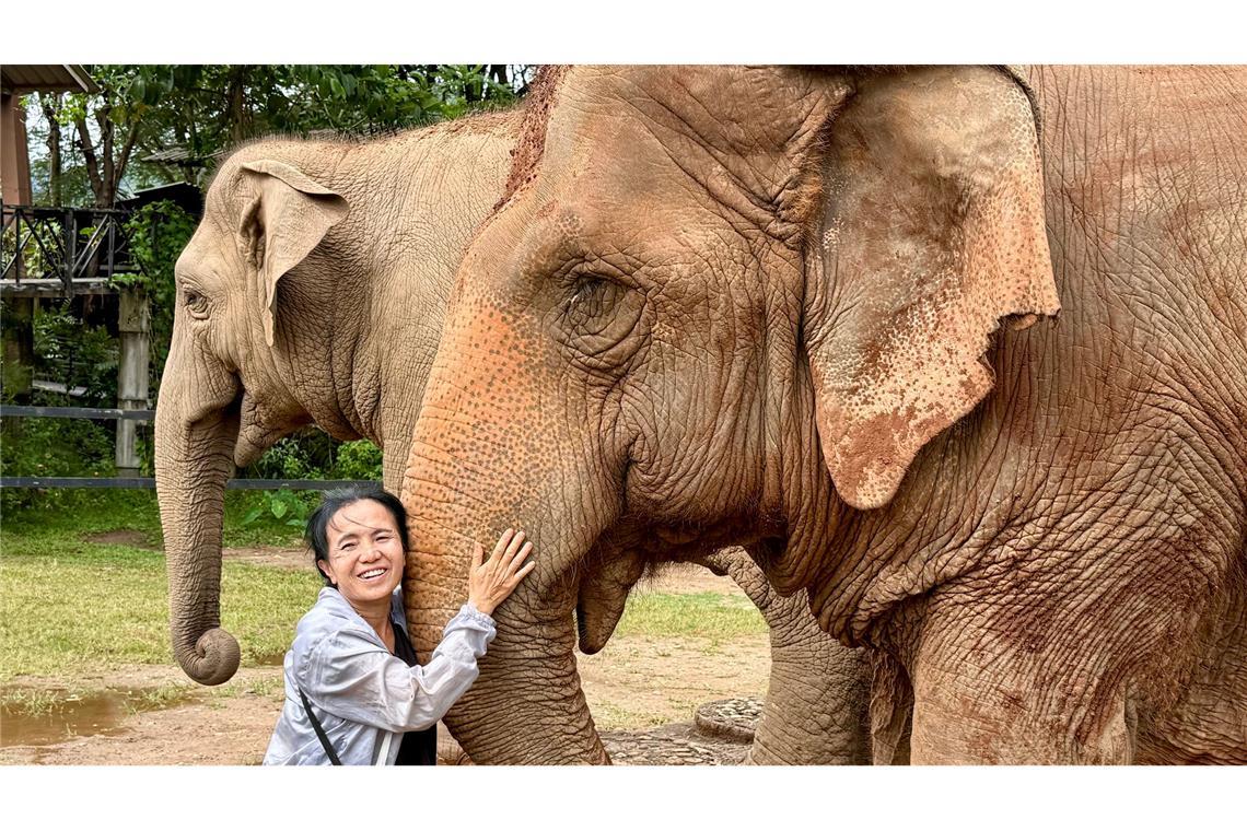 Schon mit 17 entschied Lek, ihr Leben den Elefanten zu widmen.