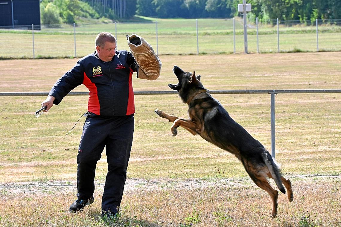 Hundesport ist mehr als nur Gassi gehen Schutzdienst ist ein Bereich aus dem Gebrauchshundesport. Was auf den ersten Blick gefährlich aussieht, ist es mit einem gut trainierten Hund nicht.