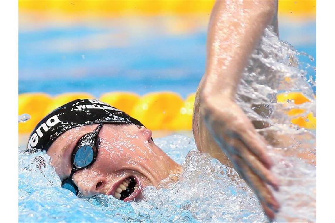 Schwamm über 800 Meter Freistil deutschen Rekord: Florian Wellbrock. Foto: Andreas Gora/dpa