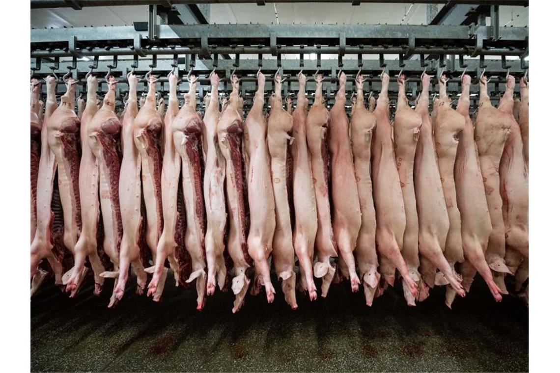 Schweine hängen im Schlachthof. Foto: Mohssen Assanimoghaddam/dpa/Symbolbild