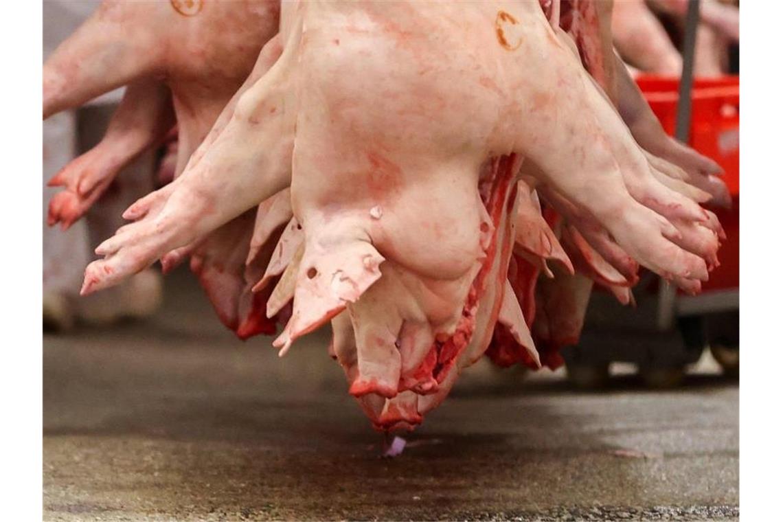 Schweinehälften hängen in einem Schlachtbetrieb. Die Agrarminister der Länder wollen an diesem Freitag über die angespannte Lage am Schweinemarkt beraten. Foto: Jan Woitas/dpa-Zentralbild/dpa