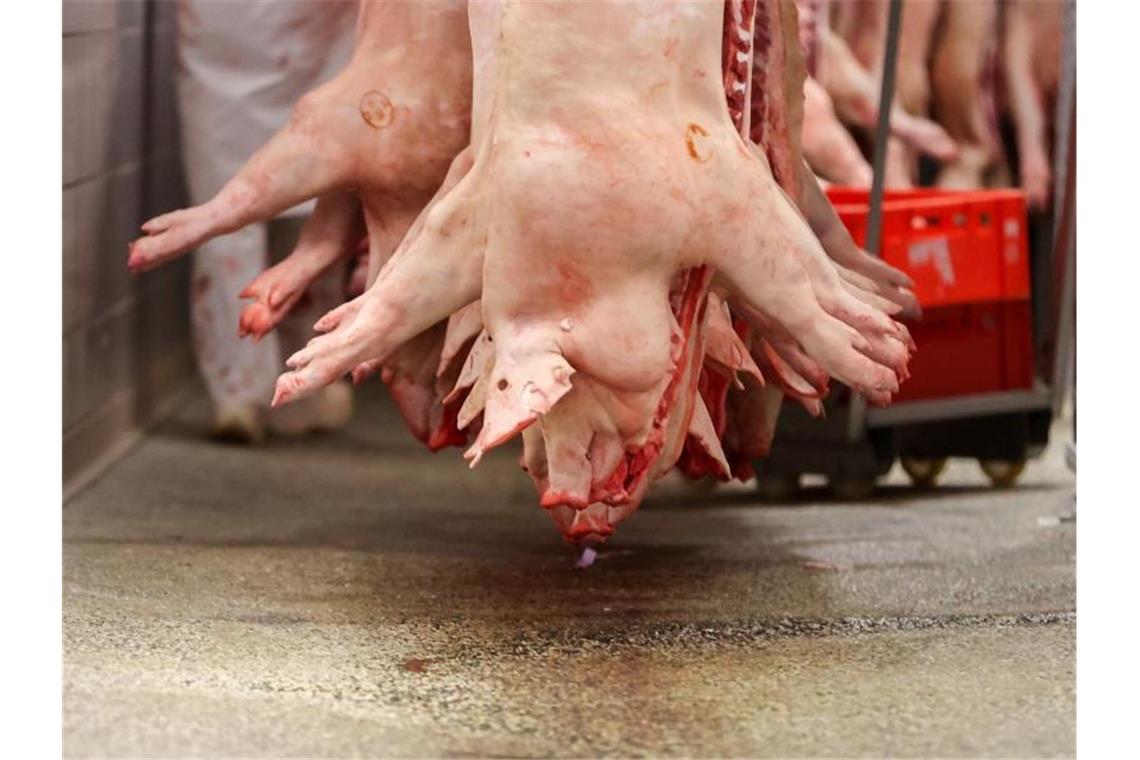 Schweinehälften hängen in einem Schlachtbetrieb. Foto: Jan Woitas/dpa-Zentralbild/dpa