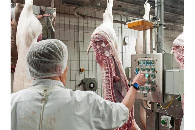 Schweinehälften im Zerlegebereich eines Schlachthofs in Niedersachsen. Foto: picture alliance / Ingo Wagner/dpa