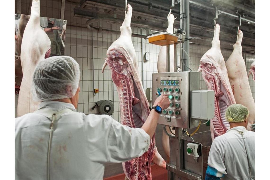 Schweinehälften passieren einen der Kontrollterminals im Zerlegebereich eines Schlachthofs in Niedersachsen. Foto: picture alliance / Ingo Wagner/dpa