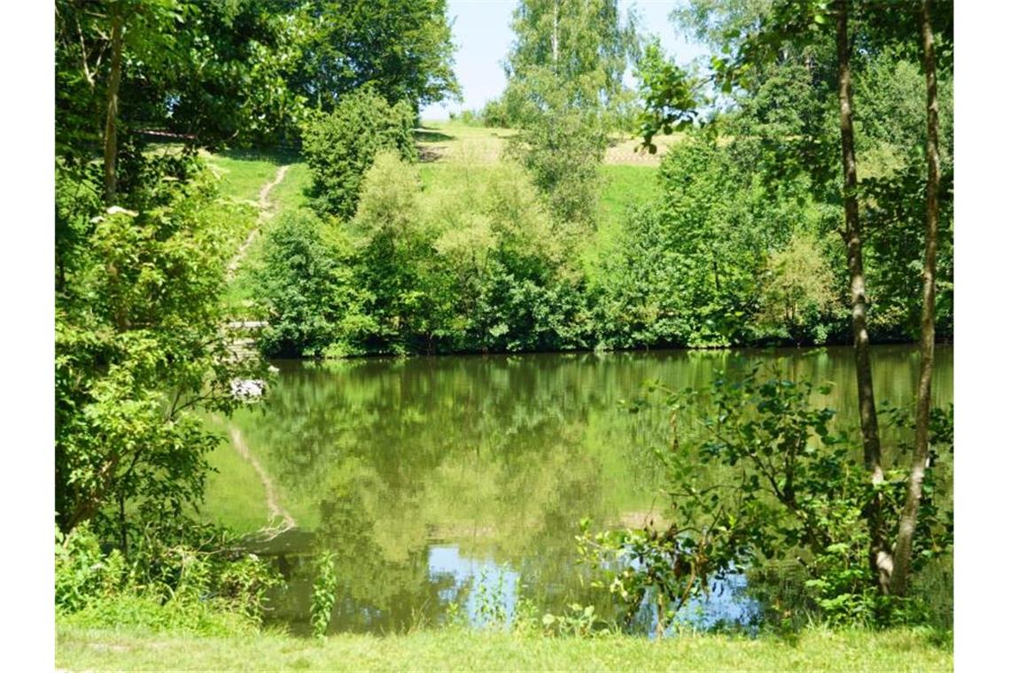 Kirchheim sucht nach Krokodilen und sperrt Badesee Seen wegen ausgesetzter Klein-Krokodile abgesperrt. Foto: Krytzner/SDMG