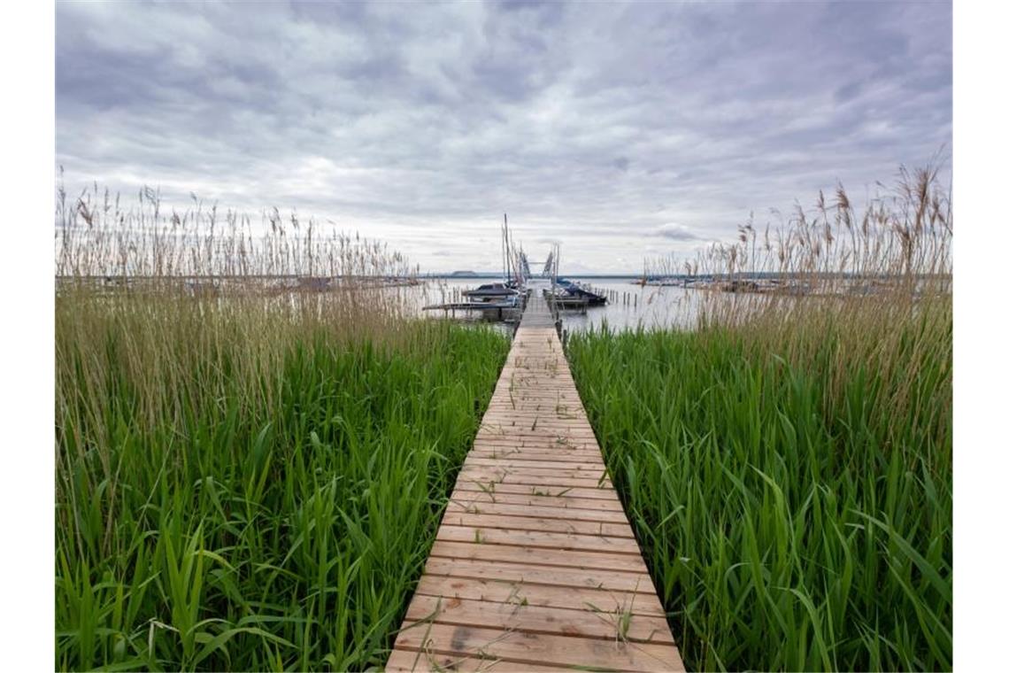 Segelboote liegen an einem Steg im Steinhuder Meer in Niedersachsen. Foto: Peter Steffen/dpa