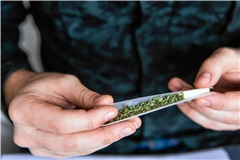 Seit der Gesetzesänderung hat sich das Konsumverhalten nicht verstärkt – im Gegenteil, es zeigt einen leichten Rückgang. Foto: Adobe Stock/Cendeced