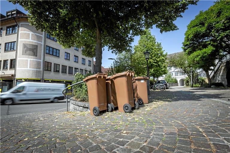 Seit der vergangenen Woche erfolgt die Tonnenleerung wieder gemäß dem Abfuhrkalender. Archivfoto: Alexander Becher 