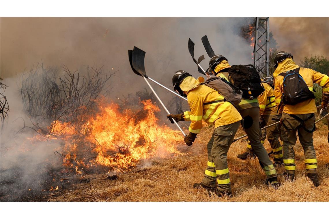 Feuer-"Tsunami" - Spaniens Regierungschef unterbricht Urlaub Seit fast zwei Wochen hält eine Waldbrand-Serie die Einsatzkräfte auf Trab.