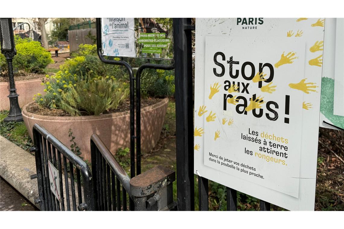 Seit Jahren kämpft die Stadt Paris gegen die Rattenplage.