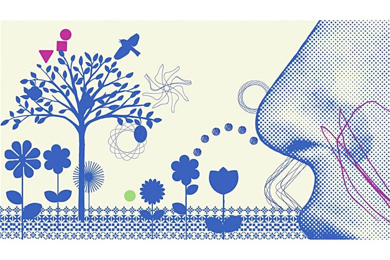 Seit Jahrtausenden verwenden Menschen Räucherwerk aus getrockneten Pflanzenteilen und Harzen zur rituellen oder medizinischen Reinigung.