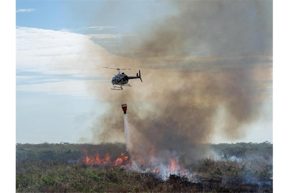 Seit Januar 2019 sollen die Feuer und Brandrodungen in Brasilien im Vergleich zum Vorjahreszeitraum um 83 Prozent zugenommen haben. Foto: Vinicius Mendonza/Ibama