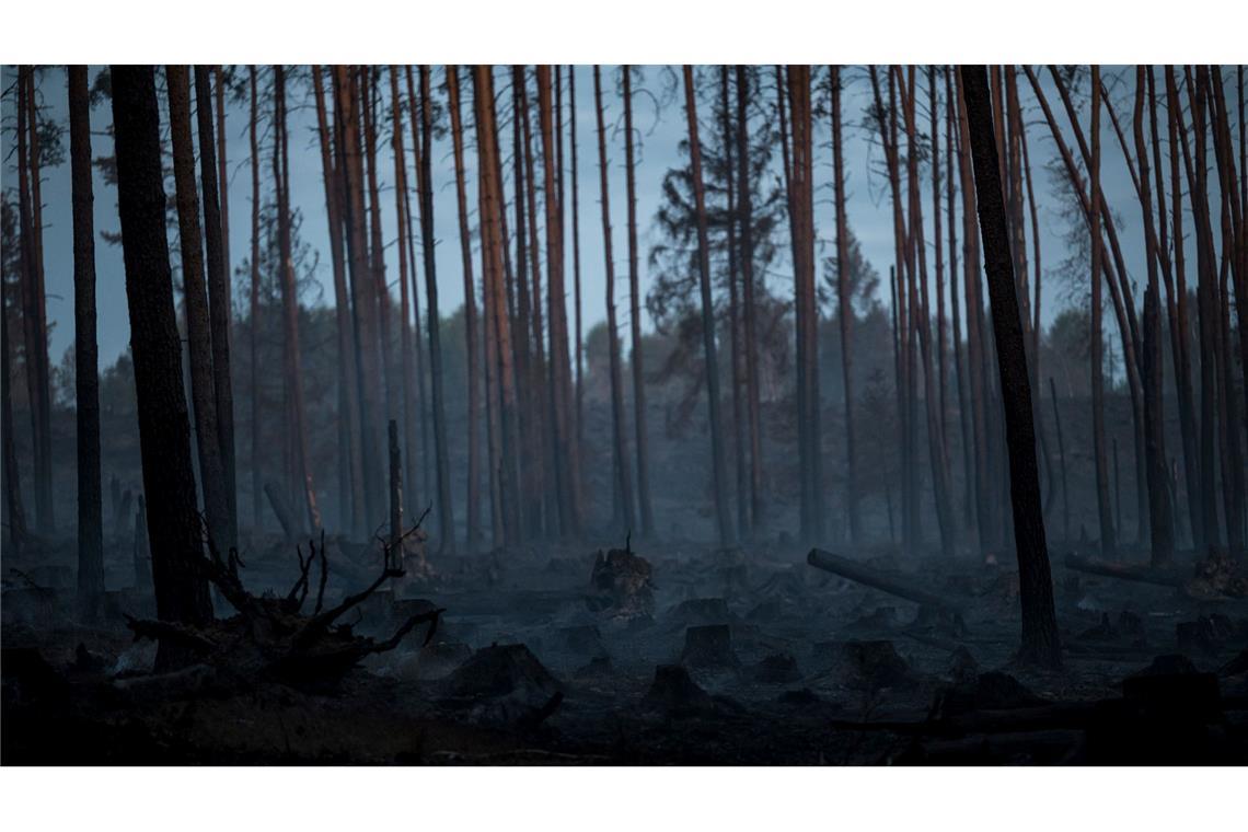 Über 1.000 Einsatzkräfte im Kampf gegen Waldbrände im Osten Seit Mittwoch sind Feuerwehren und andere Einsatzkräfte auf der Saalfelder Höhe ununterbrochen im Einsatz.