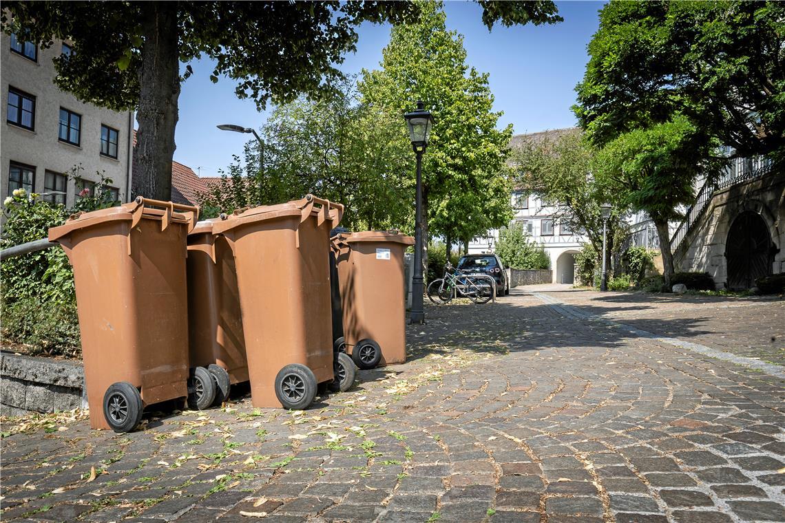 Seit Oktober gibt es einen Einbruch bei der Zuverlässigkeit: Mülltonnen stehen wieder tagelang ungeleert am Straßenrand. Foto: Alexander Becher