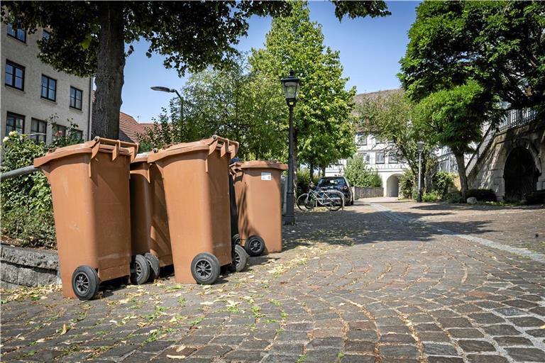 Seit Oktober gibt es einen Einbruch bei der Zuverlässigkeit: Mülltonnen stehen wieder tagelang ungeleert am Straßenrand. Foto: Alexander Becher