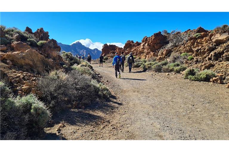 Seit Sommer 2022 wurde ein junger Backpacker aus Niedersachsen auf Teneriffa vermisst, der dort zum Wandern war - nun wurde sein Tod bestätigt. (Symbolbild)