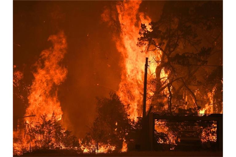 Seit Wochen kämpfen die Australier gegen eine Vielzahl an Buschbränden. Foto: Dan Himbrechts/AAP/dpa