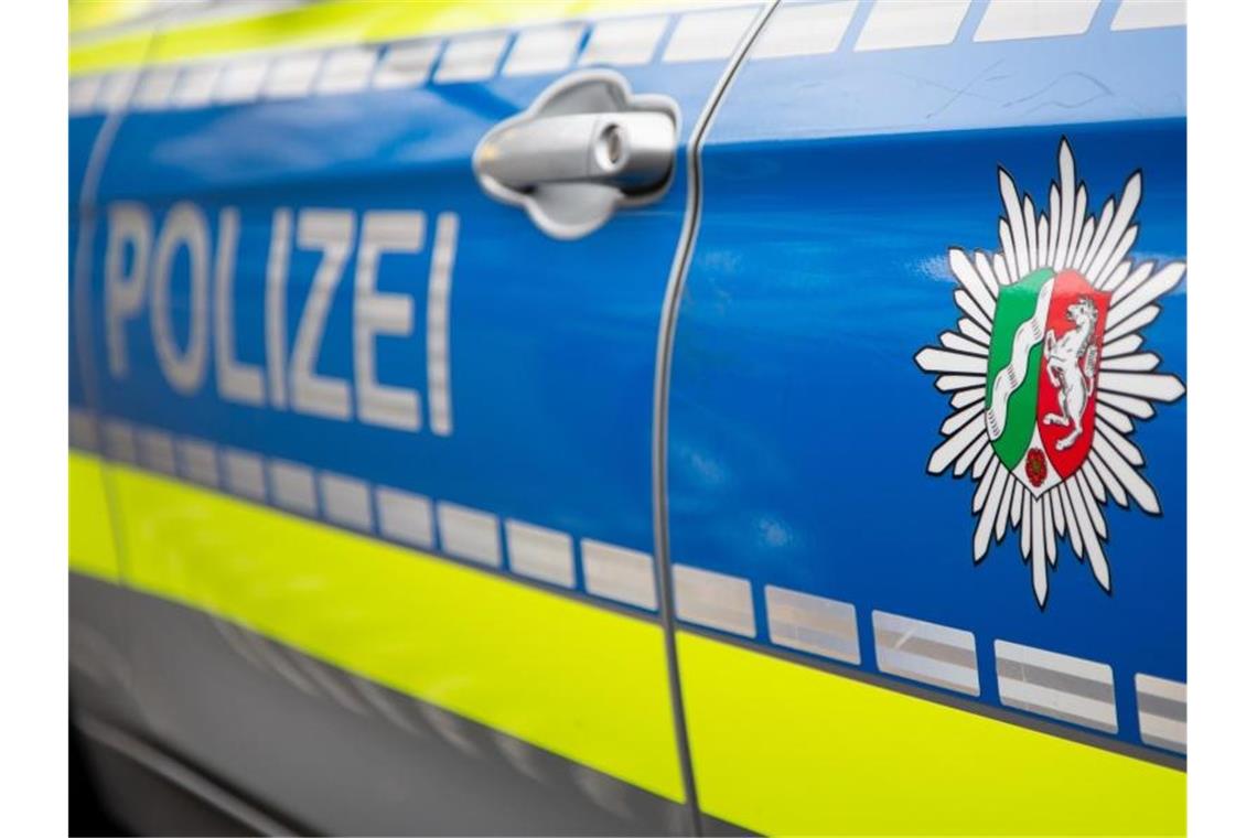 Kuh büxt aus, zerbeult Autos und verschwindet Seitenansicht eines Streifenwagens. Foto: Friso Gentsch/dpa/Archivbild