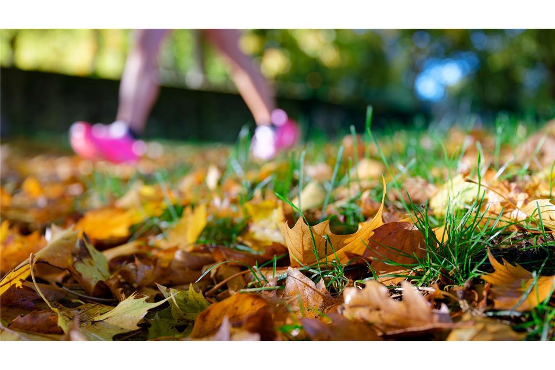 Selbst junge Leute wollen im kommenden Jahr sportlicher durch den Alltag kommen. (Symbolbild)