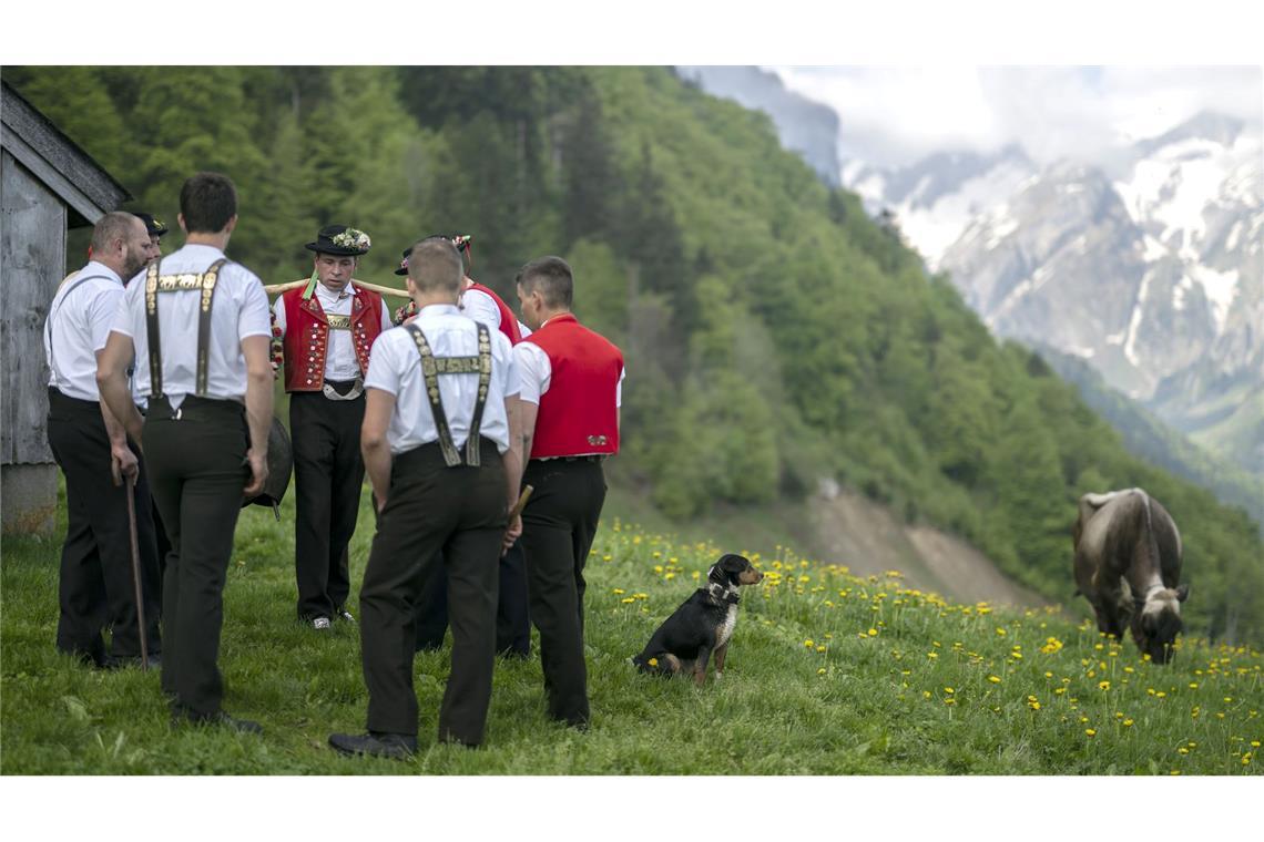 Sennen jodeln beim Alpaufzug. (Illustration)