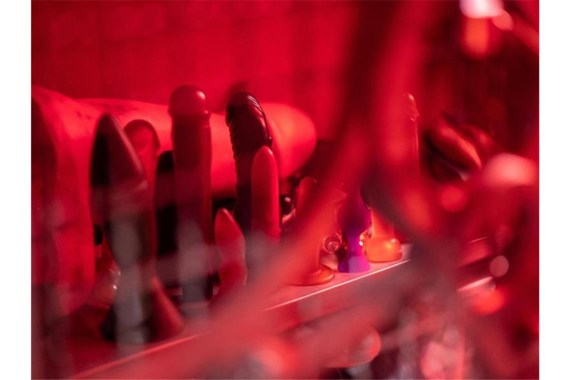 Sexspielzeuge stehen in einem Studio im Schrank. Foto: Sebastian Gollnow/dpa