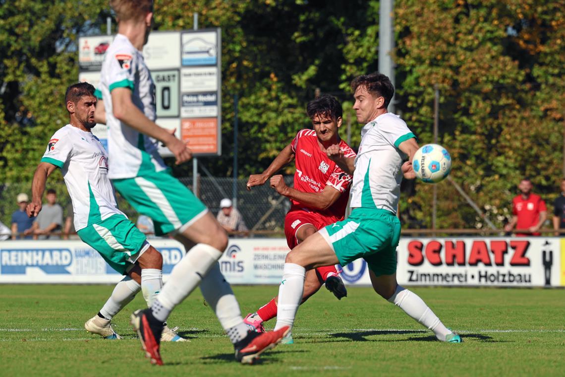 TSG Backnang: Trotz 2:0-Führung noch kräftig gezittert Shaban Veselaj (Mitte) und die TSG feiern den zweiten Saisonsieg. Einen Treffer steuert der Angreifer zum 4:3-Erfolg bei. Foto: Alexander Hornauer