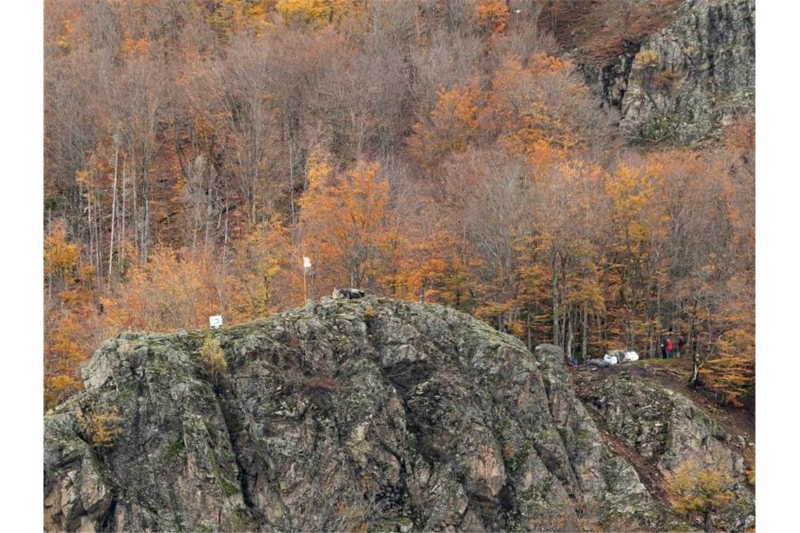Felssicherungsarbeiten in Todtnau haben begonnen Sicherungsmaterialien zur Absicherung von Felsen liegen oberhalb des Ortsteils Geschwend der Gemeinde Todtnau. Foto: Philipp von Ditfurth/dpa/Archiv
