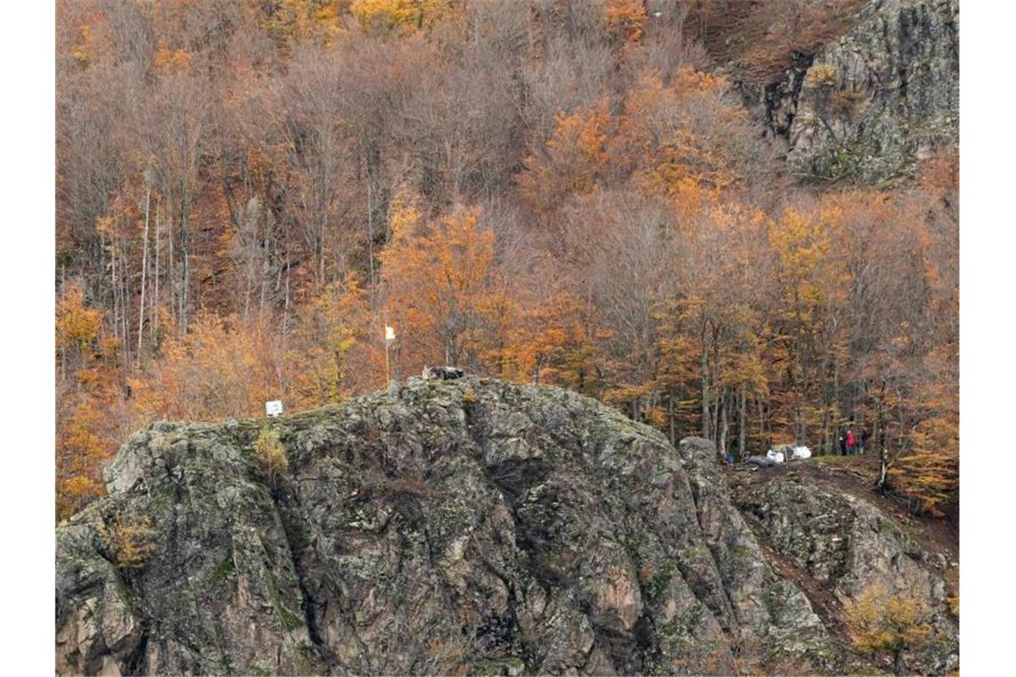 Sicherungsmaterialien zur Absicherung von Felsen liegen oberhalb des Ortsteils Geschwend der Gemeinde Todtnau. Foto: Philipp von Ditfurth/dpa/Archiv