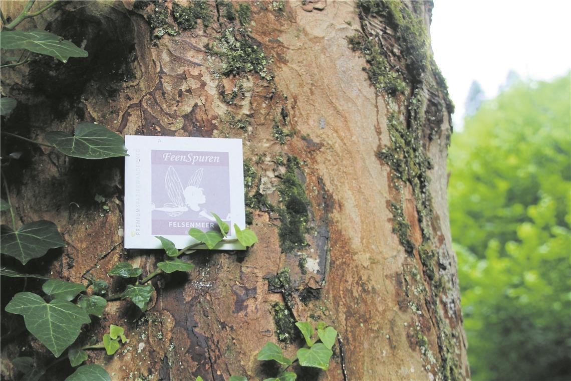 Feenspuren im Schwäbischen Wald ausgeschildert Sichtbar angebracht: Das Schild, das auf die Feenspuren im Wald hinweist. Foto: Landratsamt